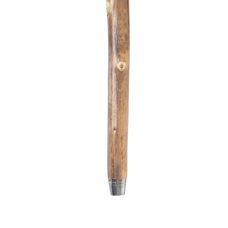 Natural Chestnut Knob Handle Walking Stick - WalkingSticks.co.uk